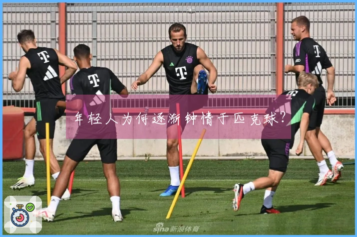 年轻人为何逐渐钟情于匹克球？